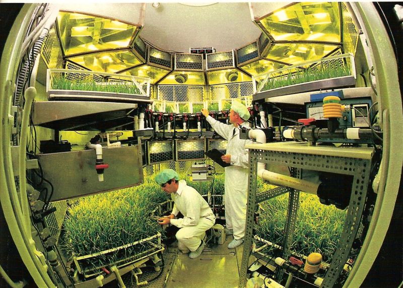 The interior of the Biomass Production Chamber at NASA's Kennedy Space Center in Florida replicated the closed growing environment astronauts will use in space or on other planets to grow fresh crops.