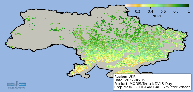 NDVI map of Ukraine winter wheat, August 2022