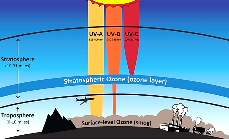 Miles above the surface of the Earth, a thin layer of stratospheric ozone gas acts as a shield that protects all life on Earth from harmful ultraviolet light.